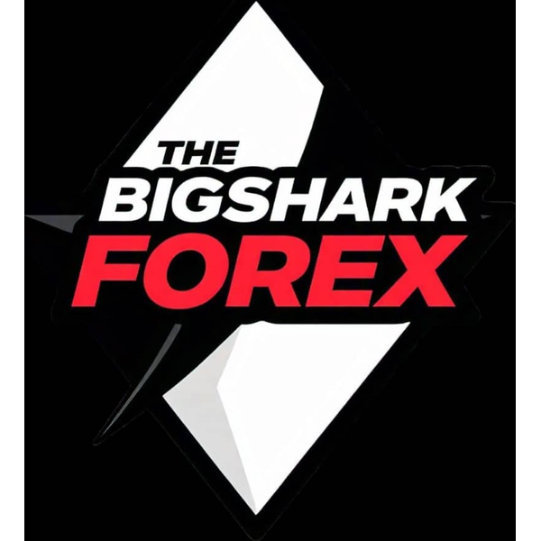 The Big Shark Forex